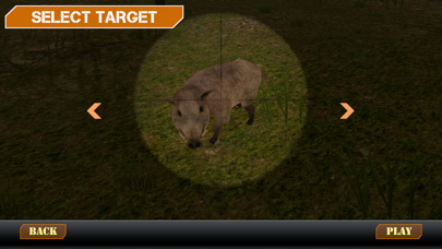 SGN Sports Wild Game Hunting Screenshot