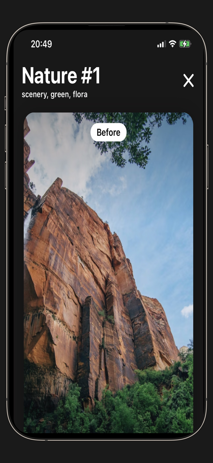 Photo Presets and Filters Pro
