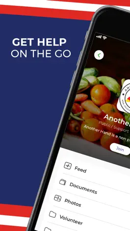 Game screenshot American Home Help apk