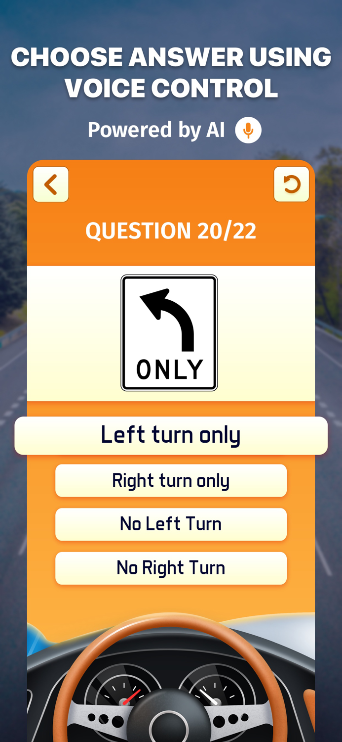 Road Signs AI Test and Theory