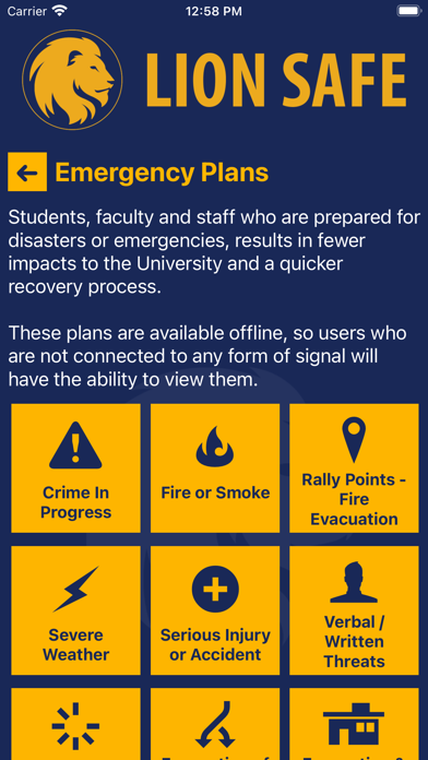 Lion Safe Screenshot