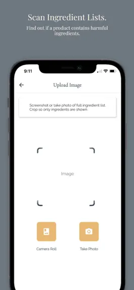 Game screenshot Switch Natural apk