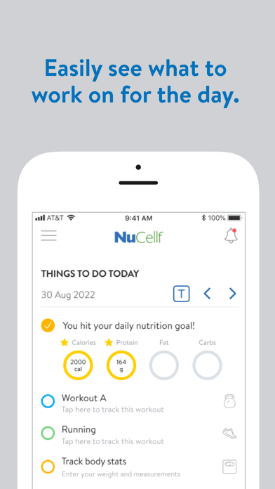 NuCellf Screenshot