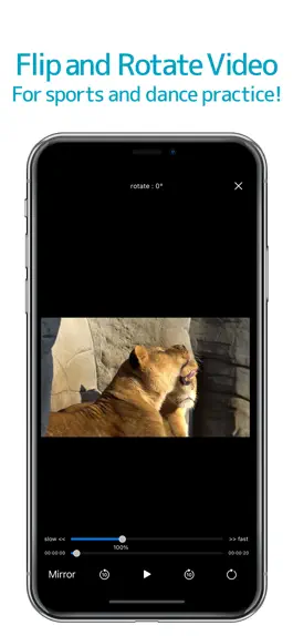 Game screenshot Motion Player - Mirror & slow mod apk