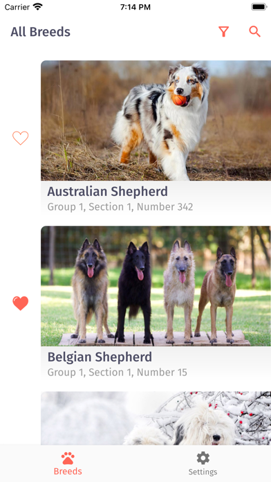 Paws: Dog & Puppy Breeds Screenshot