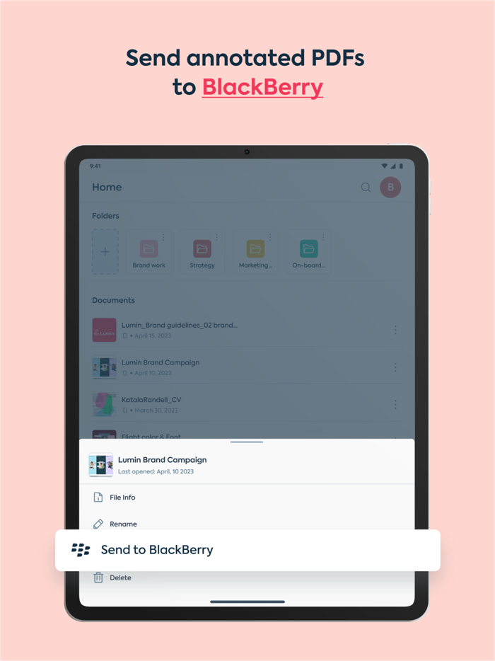 Lumin for BlackBerry