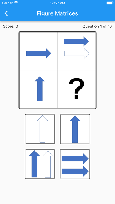 COGAT Grade 2 Screenshot