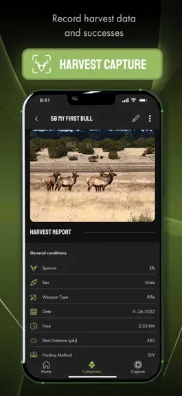 Game screenshot Harvest Score hack