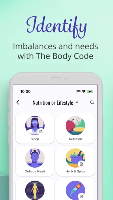 The Body Code System Screenshot