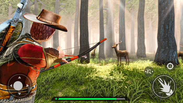 Animal Archery Hunting Games