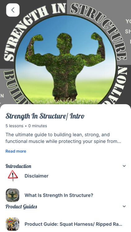 Strength In Structure