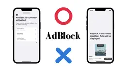 simple adblock checker app iphone screenshot 1