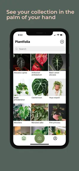 Game screenshot Plantfolia mod apk
