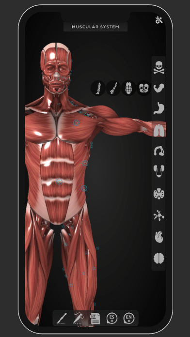 Virtual Medical Anatomy Screenshot