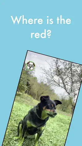 Game screenshot Pawspective apk