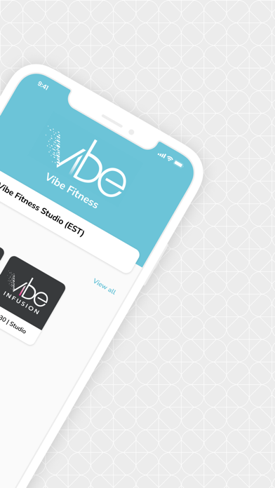 Vibe Fitness Inc Screenshot