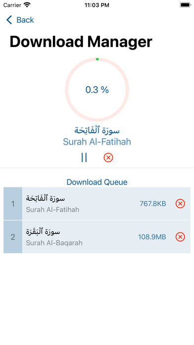 Quran Audio Malayalam Screenshot