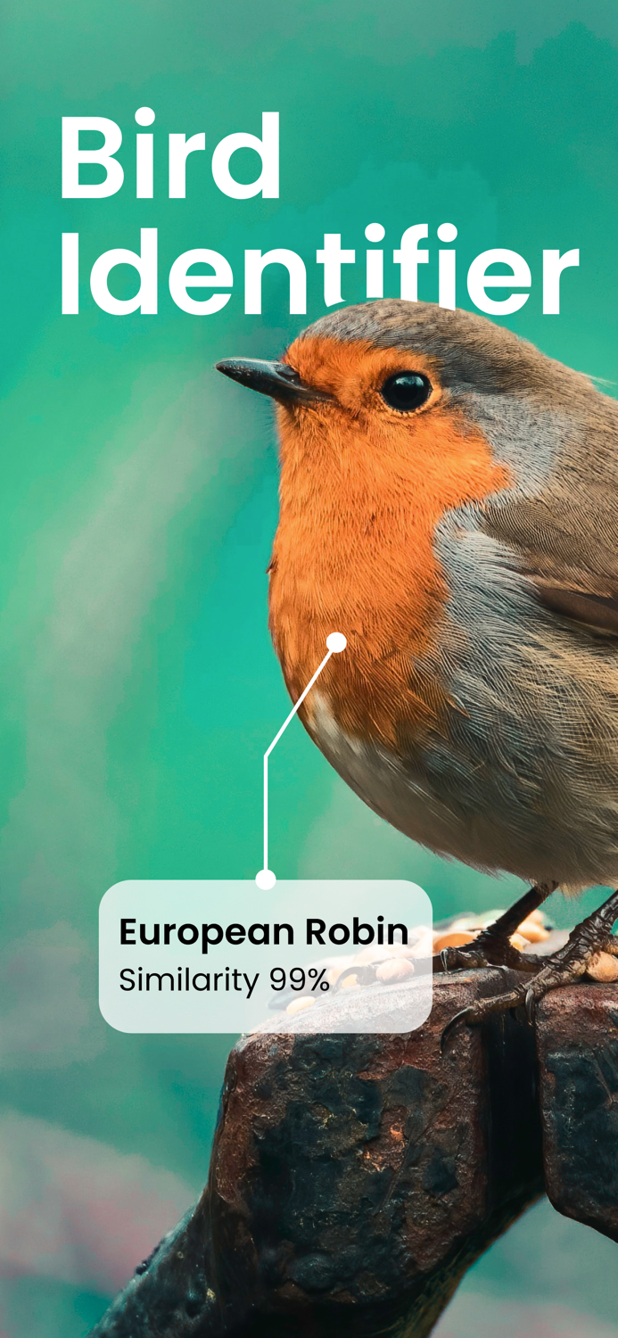 The Bird Identifier App