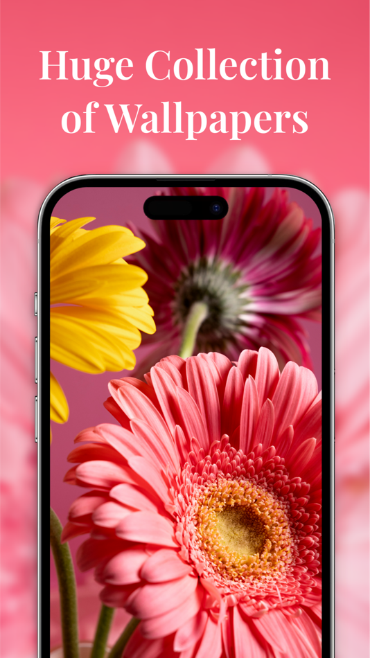 #3. Themes: Wallpapers and Widgets (iOS) 由: Petro Holovatyuk