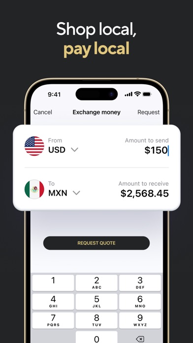X World Wallet: Visa Card Screenshot