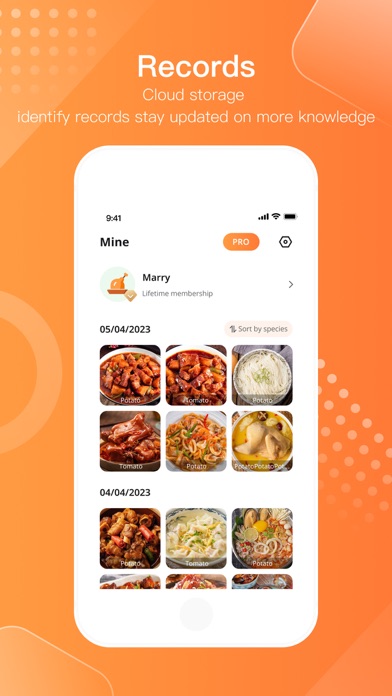 DishSnap - identify dish names Screenshot