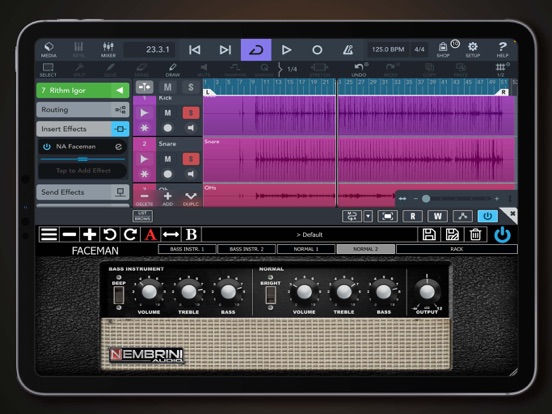 Faceman 2-Channel Head iPad screenshot 1 - Music app