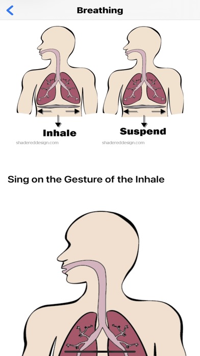 Vocal Tech Screenshot