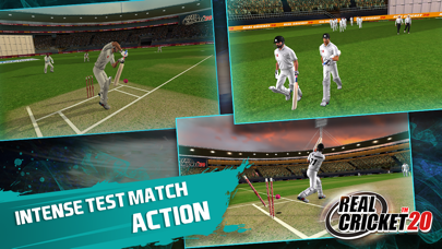 Real Cricket™ 20 Screenshot