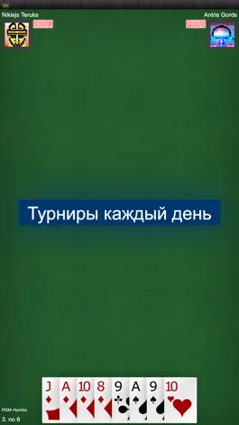 Game screenshot Игра в карты Золе: RaccoonZole apk