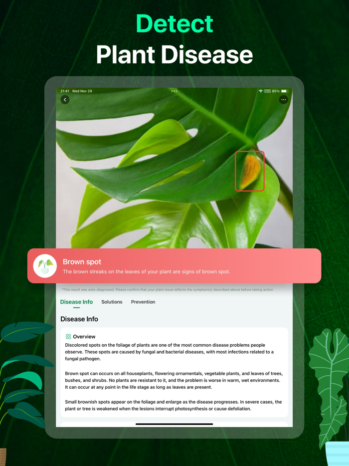 PlantAI Identifier and Diagnose