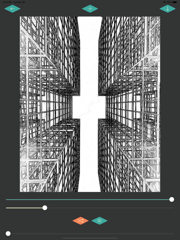 2to1: Sketch, Color, Style iPad screenshot 9 - Photo & Video app