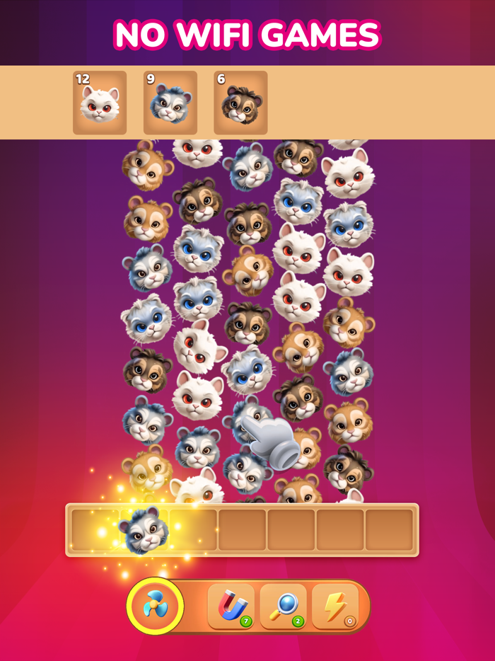 Match Puzzle  No WiFi Games