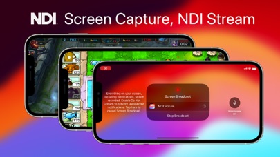 NDI Screen Capture Screenshot