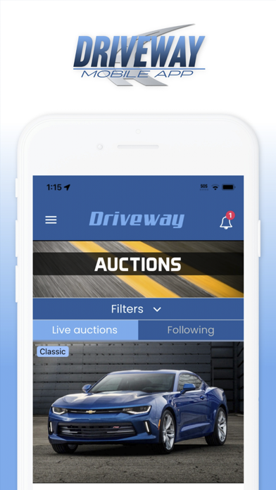 Driveway Auction Screenshot
