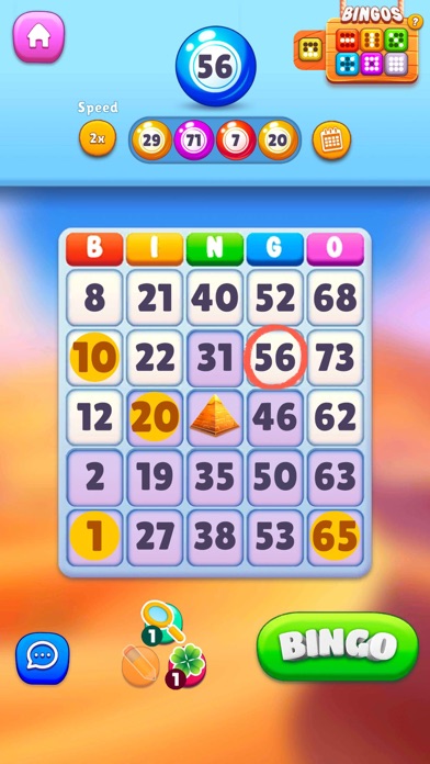 Bingo - Family games Screenshot