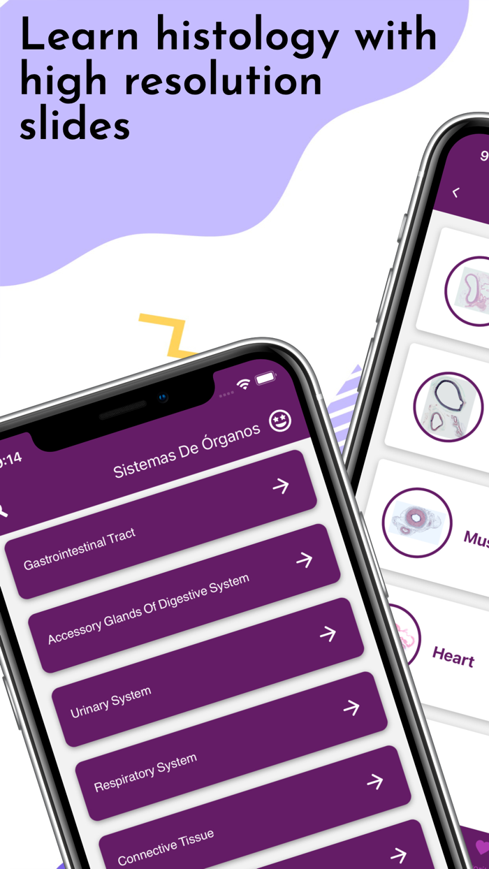 Ehistolab - Histology Slides