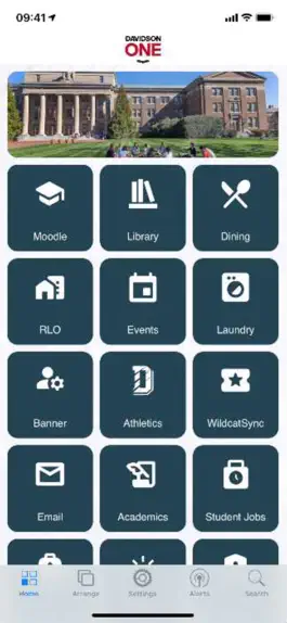 Game screenshot Davidson One mod apk
