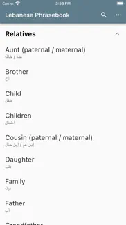 lebanese phrasebook iphone screenshot 4