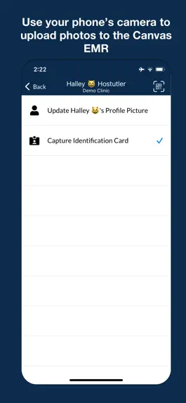Game screenshot Canvas Remote hack