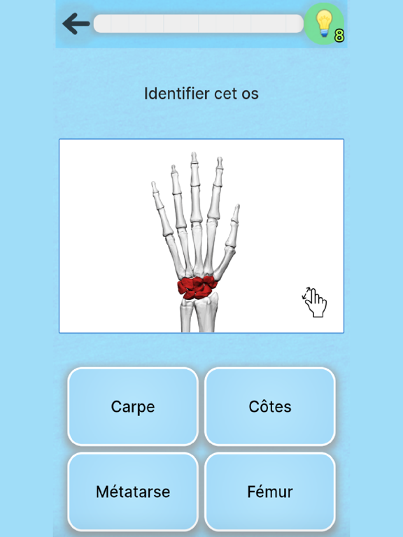 Screenshot #5 pour Anatomie