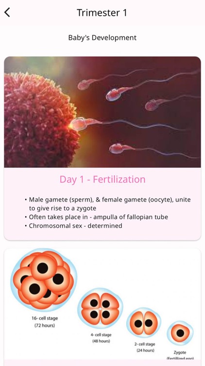 Amma & Baby screenshot-3