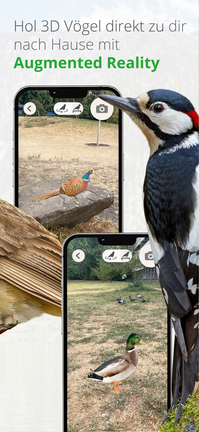 Vögel in Österreich