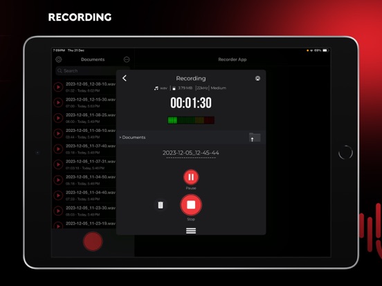 Audio Recorder Pro and Editor iPad app afbeelding 2