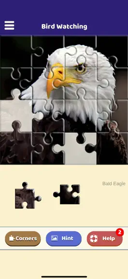 Game screenshot Bird Watching Puzzle apk
