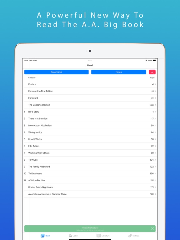 AA Big Book e-Reader + Audio