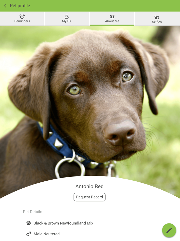 Dogwood Animal Hospital