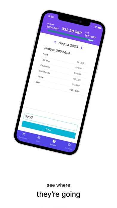 BudgetSense Ninja Screenshot