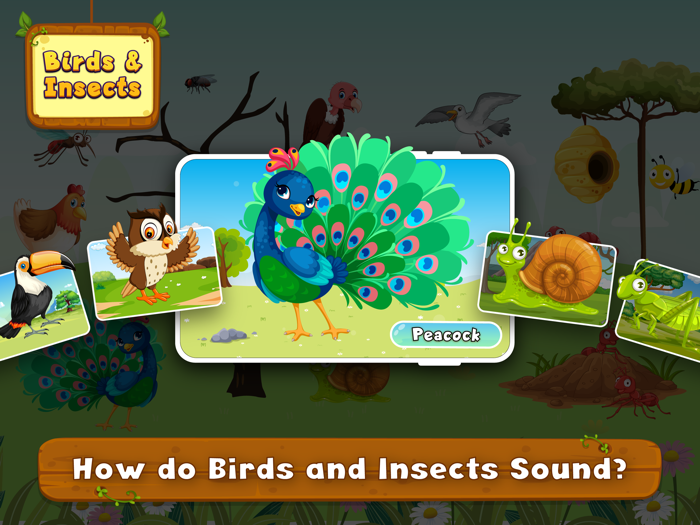 Animal Sound for learning