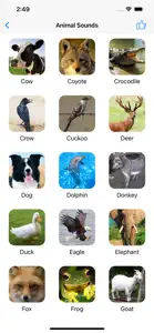 Animal Sounds Voice Effects screenshot #2 for iPhone