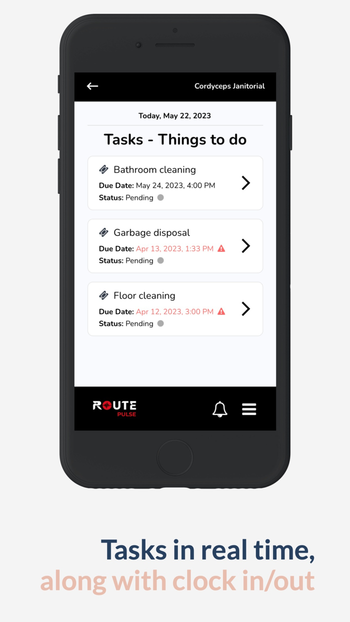 Route Pulse Cleaning Software